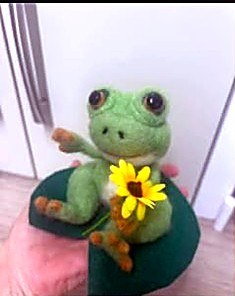 Green felt frog with a sunflower